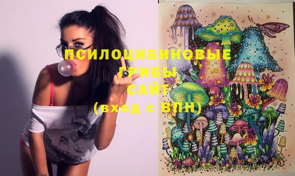 mix Белокуриха